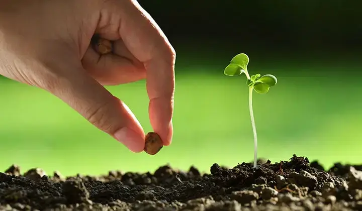 Criação de Valor para as Empresas a partir da Gestão Ambiental